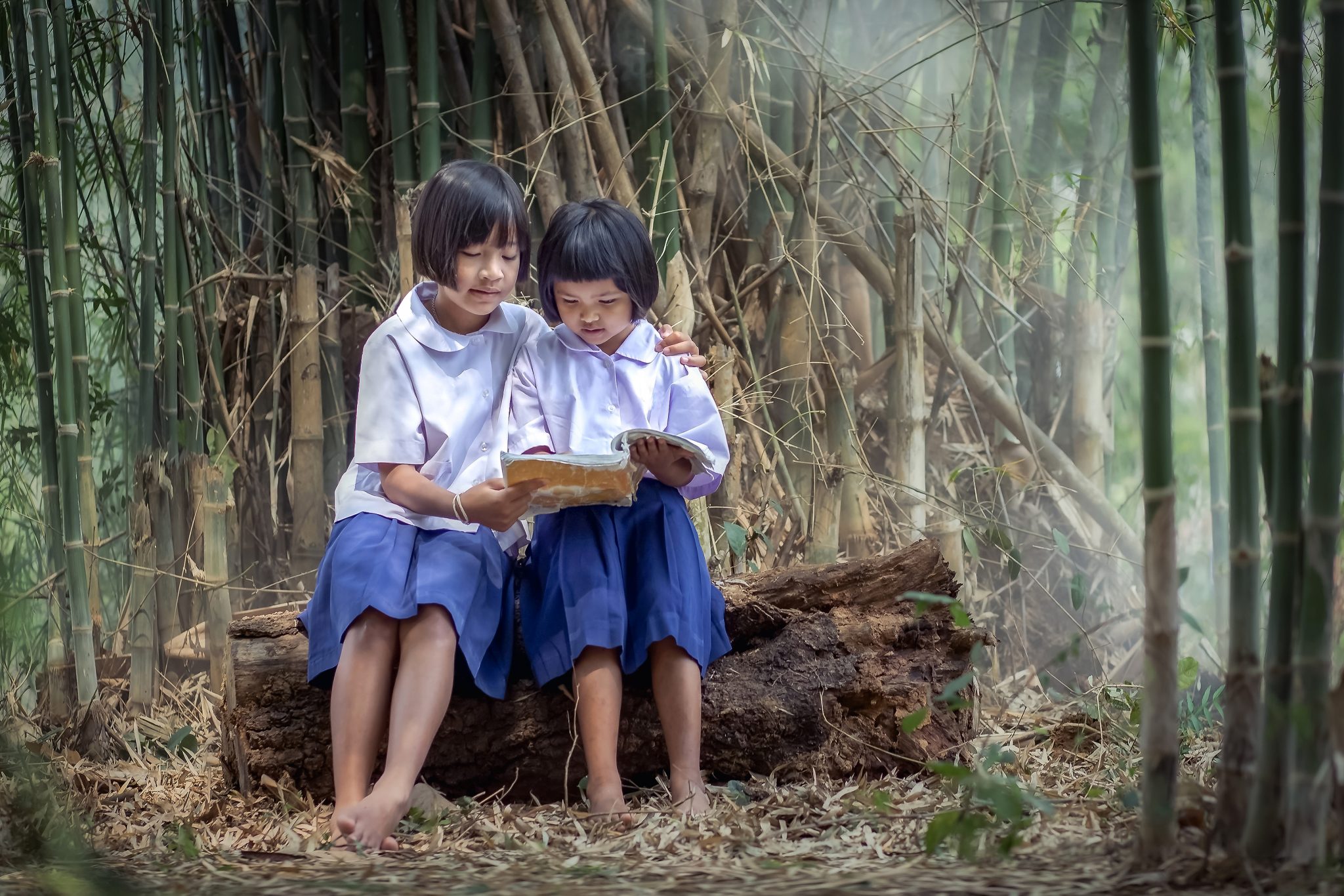 Chiến dịch cộng đồng Tết chuyển tay năm 2024